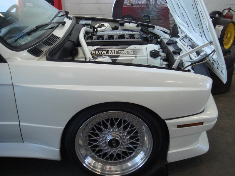 DSC02573_800x600.JPG